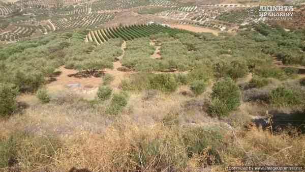 DSC_0056.JPG